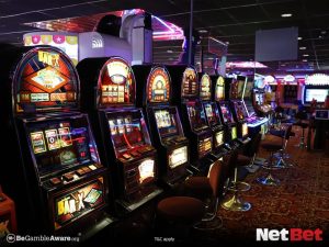 praiapg - Cassino Bet Oficial